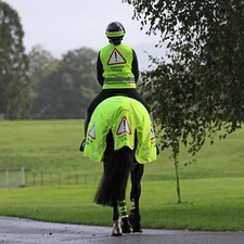 Shires Equi Flector Mesh