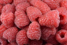 Giant Red Raspberry Seeds