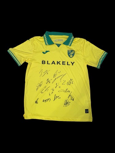 Norwich city 2025 squad - city, 2025-26
