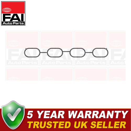 Fai inlet manifold - manifold, set