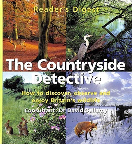 Countryside detective david - detective,