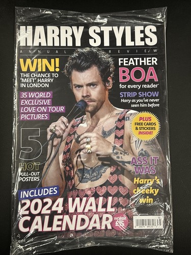 Harry styles annual - styles,