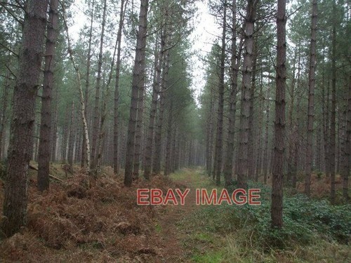 Photo trackbed the - photo,