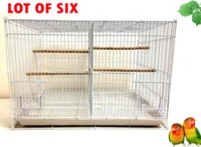 Lot of 6 Aviary Canary Budgie