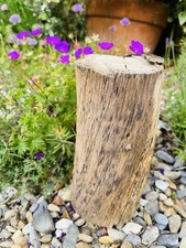 20cm DRIFTWOOD LOG BRANCH Wood Plinth Lamp Base Craft Florist Turn Display Art