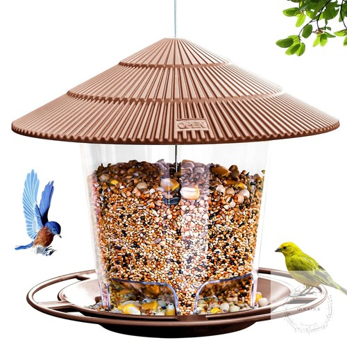 Bird feeder outdoor - bird,