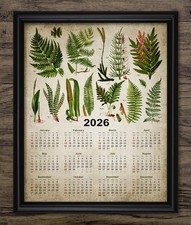 Fern Calendar 2026 Print