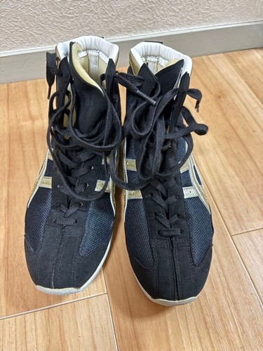 Asics boxing shoes tbx950 - boxing,