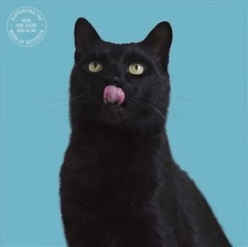 Battersea Cat Cute Blank Card