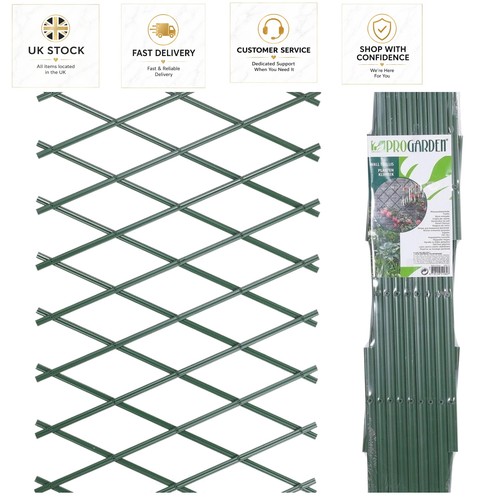 Luxury set foldable - luxury, green