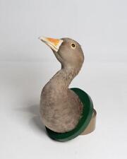 Taxidermy Goose Head Mount
