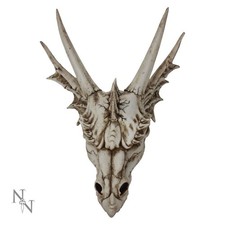 Large Dragon Skull Dinosaur