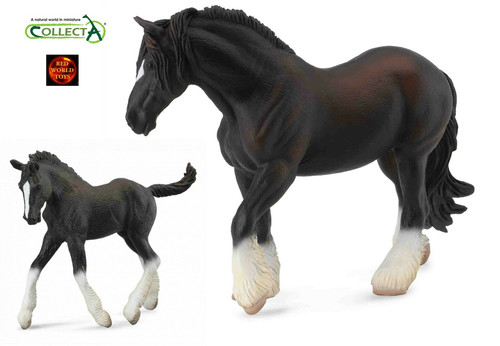 Black shire mare and - mare, foal