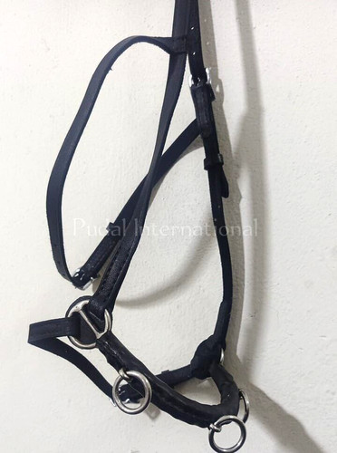 Leather lunging cavesson - lunging,