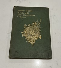 Birds' Nests, Eggs, and