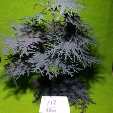 BRITAINS farm - Model trees -