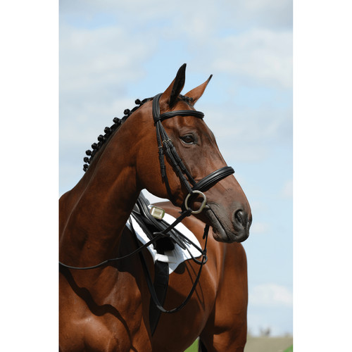 Collegiate syntovia padded - syntovia+,