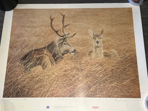 Keith brockie signed ltd - ltd, ed