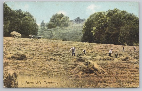 Farm life turning - farm,