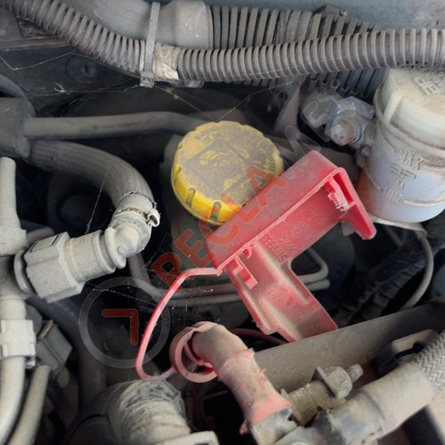 Ford zetec tdci mk2 - zetec,