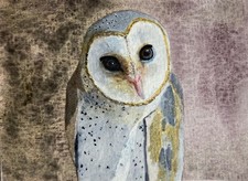 Original Watercolour Barn Owl