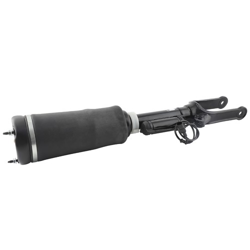 Air strut suspension - air, ads