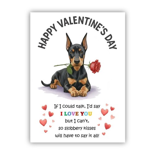 Doberman dog valentine day - valentine's,