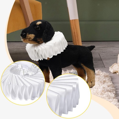 Cat dog ruffle neck - neck, ruff