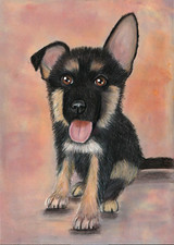 Original coloured pencil artwork picture Eager little German shepard puppy dog