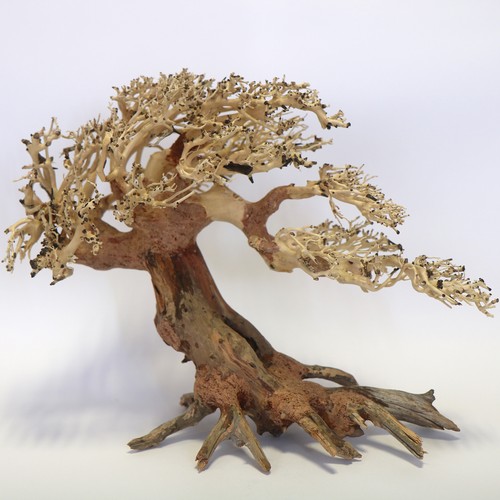 Romantic bonsai wood large - romantic,