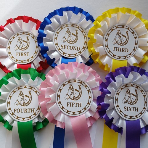 Horse show rosettes 1st 6th - show, 1st-6th