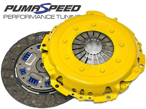 Pumaspeed racing competition - pumaspeed,