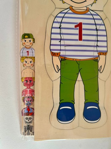 Wooden human body layer - body, puzzle