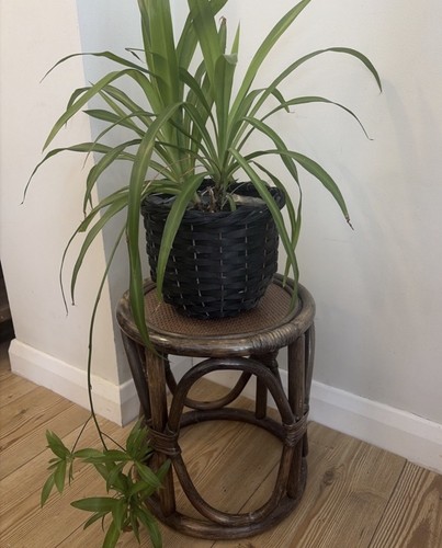 Vintage dark bamboo cane - bamboo,