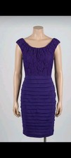 Coast Fan Pleated Dress With