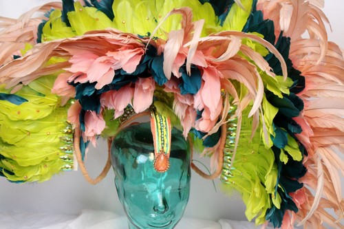 Feather head dress - feather,