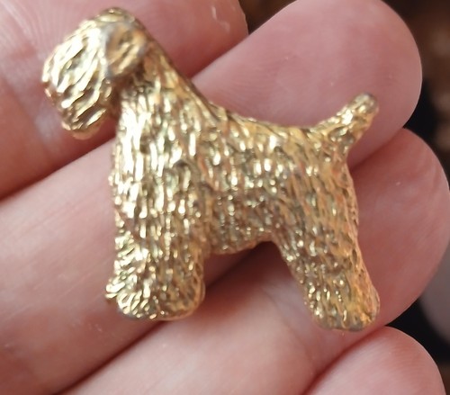 Soft coated wheaten terrier - coated,