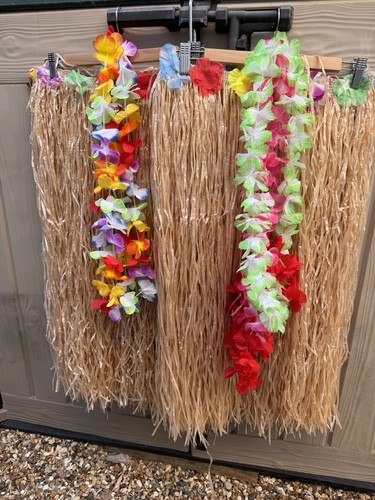 Hawaiian fancy dress bundle - hawaiian,