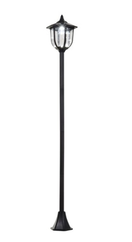 77m tall free - tall, abs
