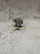 Small Blue Nosed Friend