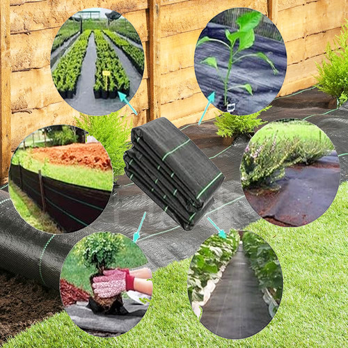 Complete weed control - weed,