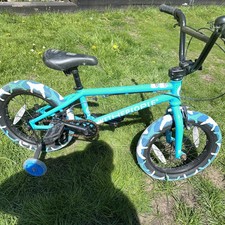 16 Inch We The People Seed Bmk