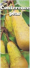 1 HARDY FRUIT TREE 4FT