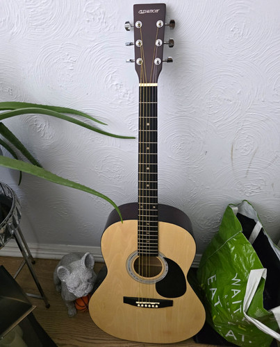 Elevation string dreadnought - elevation, 6-string