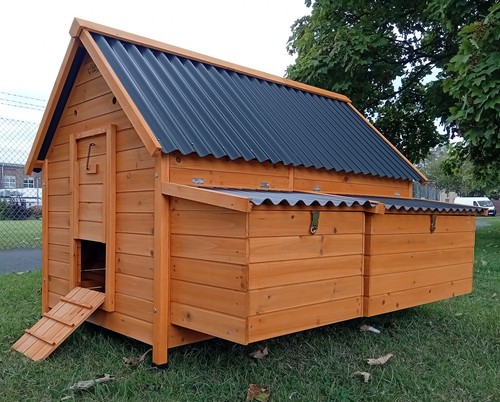 Huge eco50002n chicken - eco50002n,