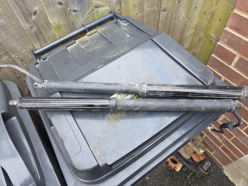 Toyota rav tailgate strut - 4,