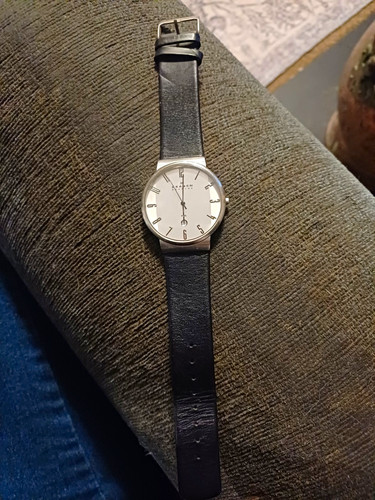 Skagen 355lslb men - men’s, quartz