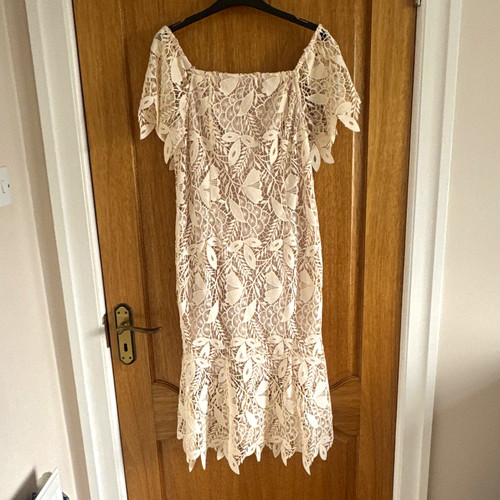 Coast beige lace dress 12 - lace,