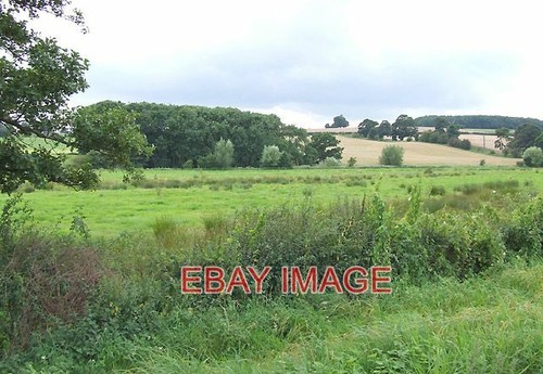 Photo grazing land - , by