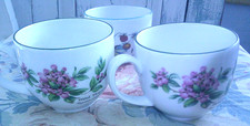1 Royal Worcester Strawberry